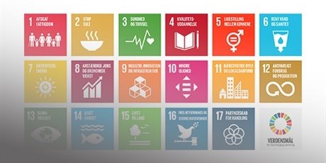 FN's Verdensmål for Bæredygtig Udvikling